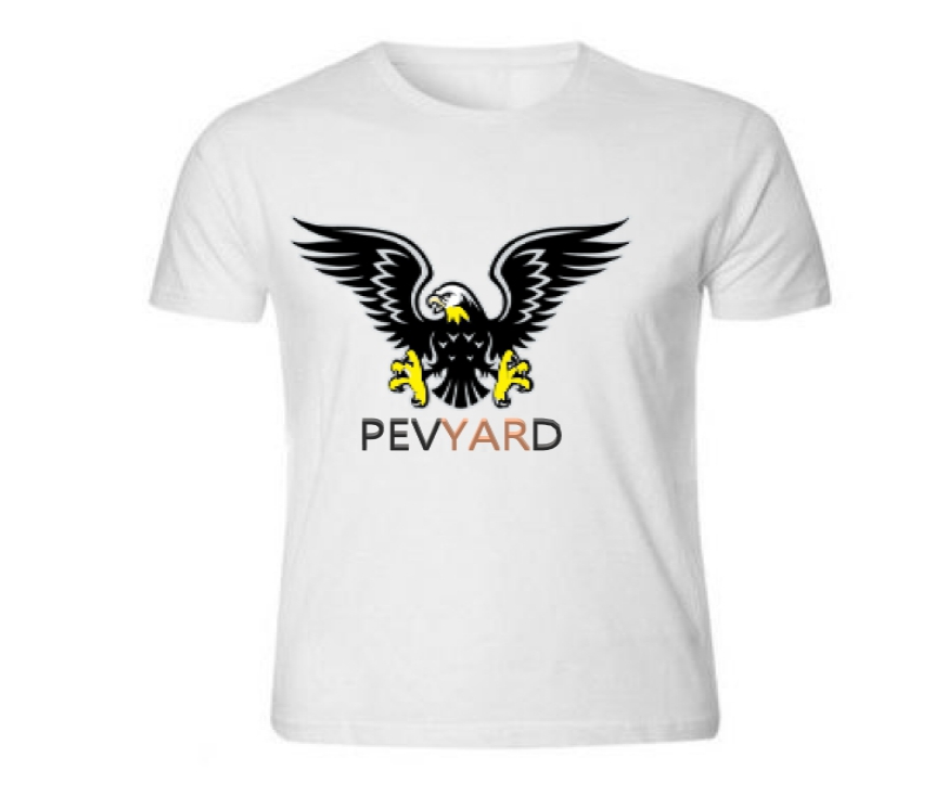 I will professionally and masterly design you a logo of your choice