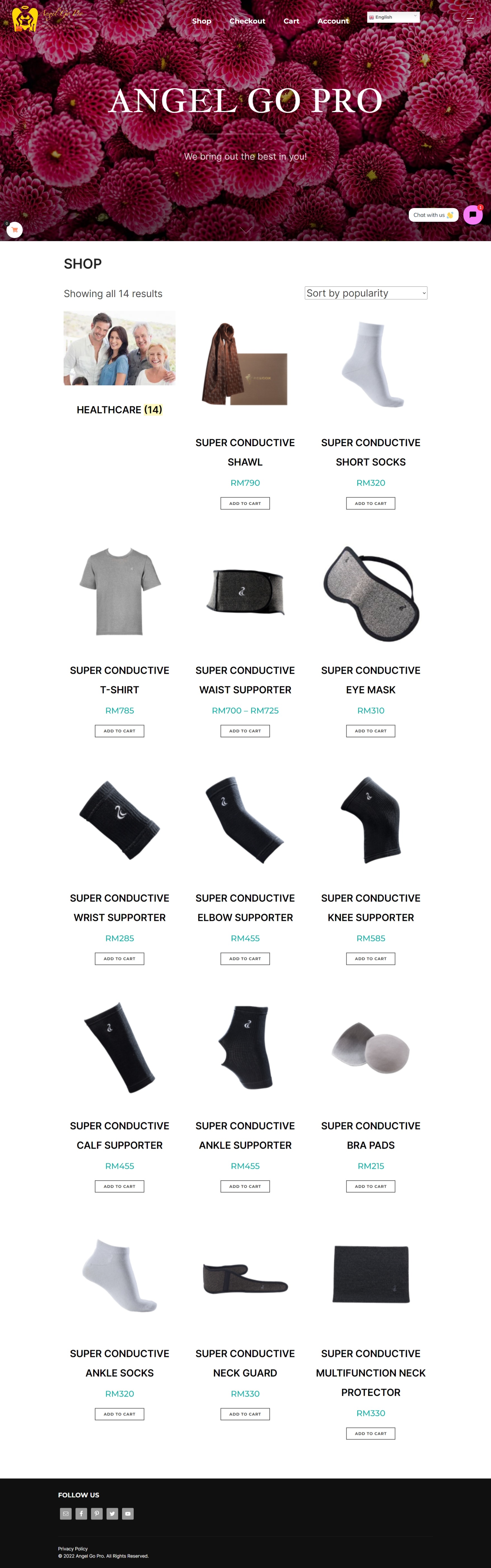 Create a Responsive and SEO friendly professional website