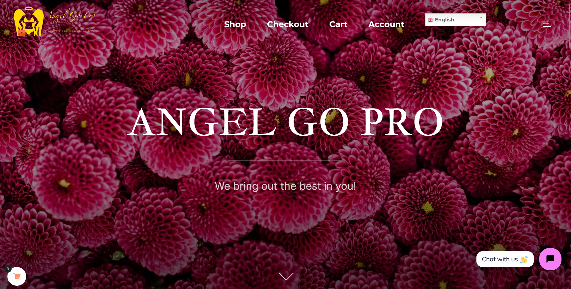 Create a Responsive and SEO friendly professional website