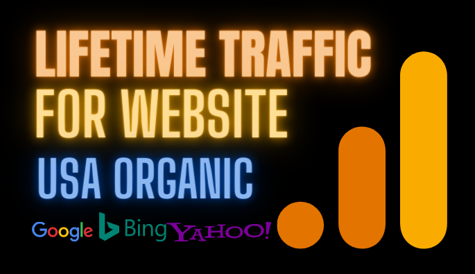I Will Provide Website Traffic Software Targeted USA Real Visitors