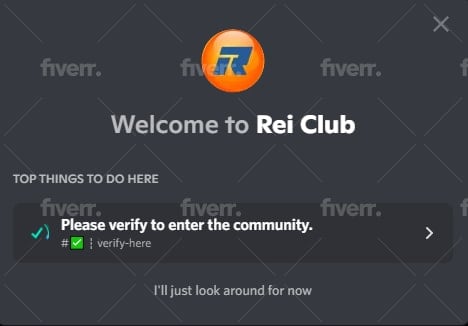 I will setup a discord server for your NFT. DAO and community 
