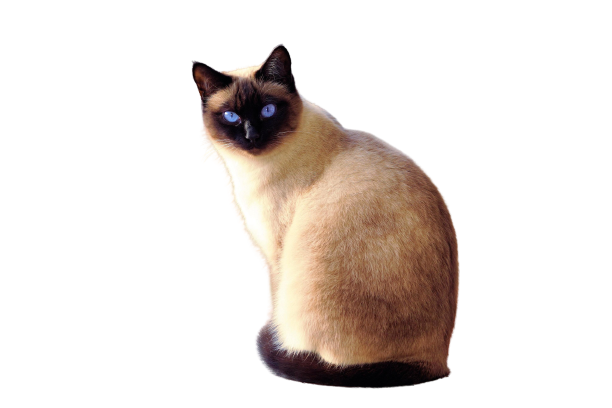 I can delete 5 to 10 background images in less than 1...