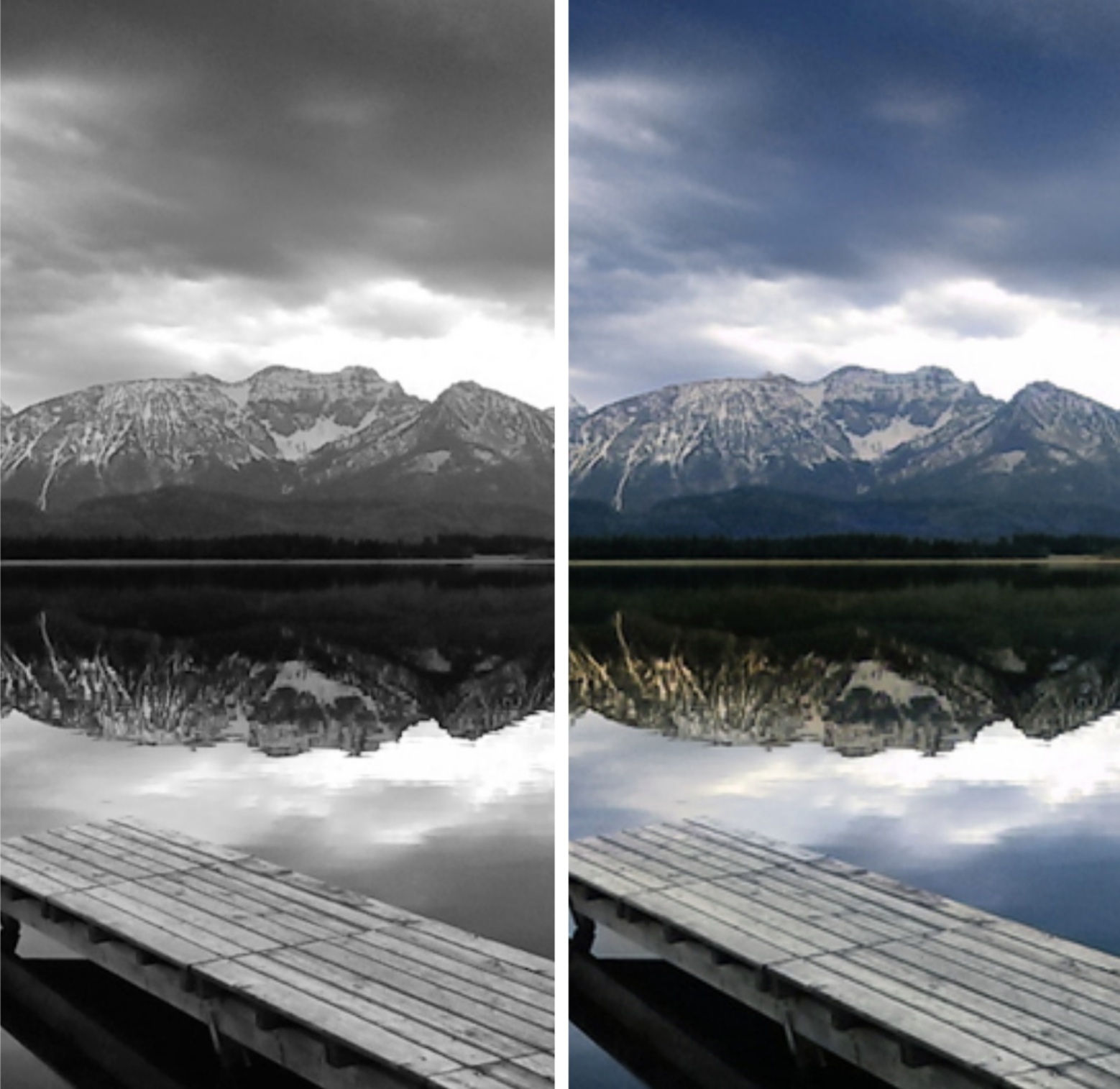 I will colorize pictures professionally