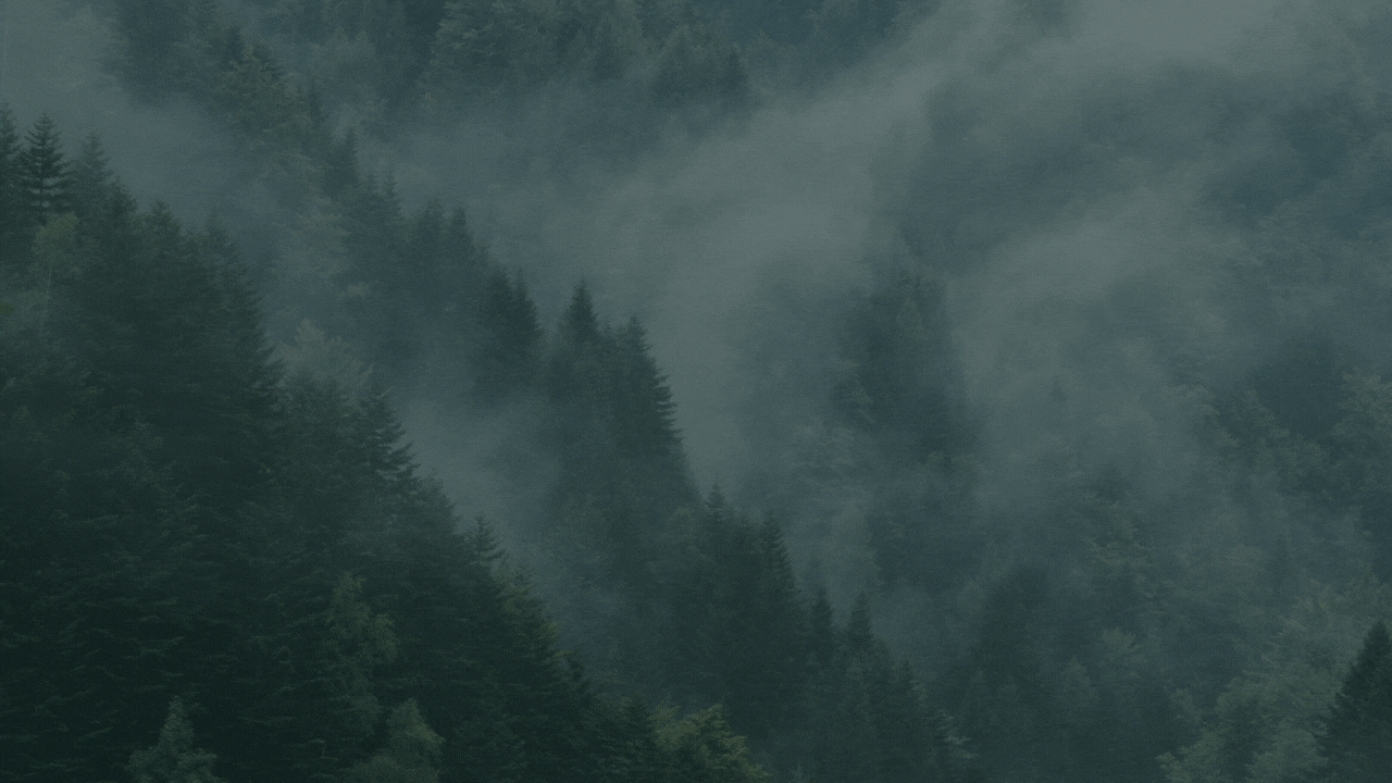 Build 2000+ URL Shortener Backlinks To boost your ranking