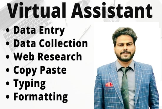 I will do data entry, excel data entry, web researc...