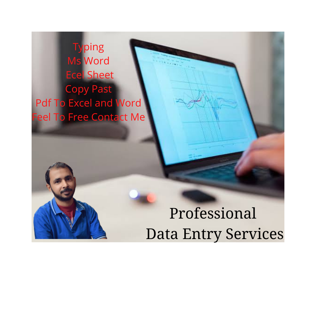 Professional Data Entry Services