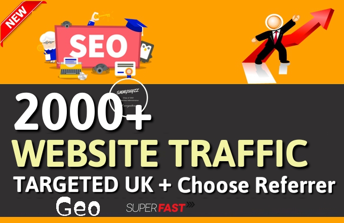 I will send 2000+ unique web traffic on your website (Geo target available)
