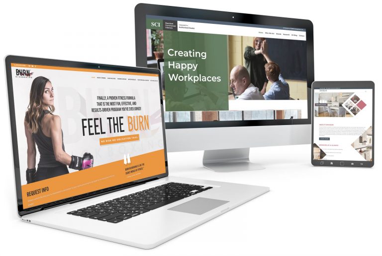 I will develop ecommerce website or wordpress website