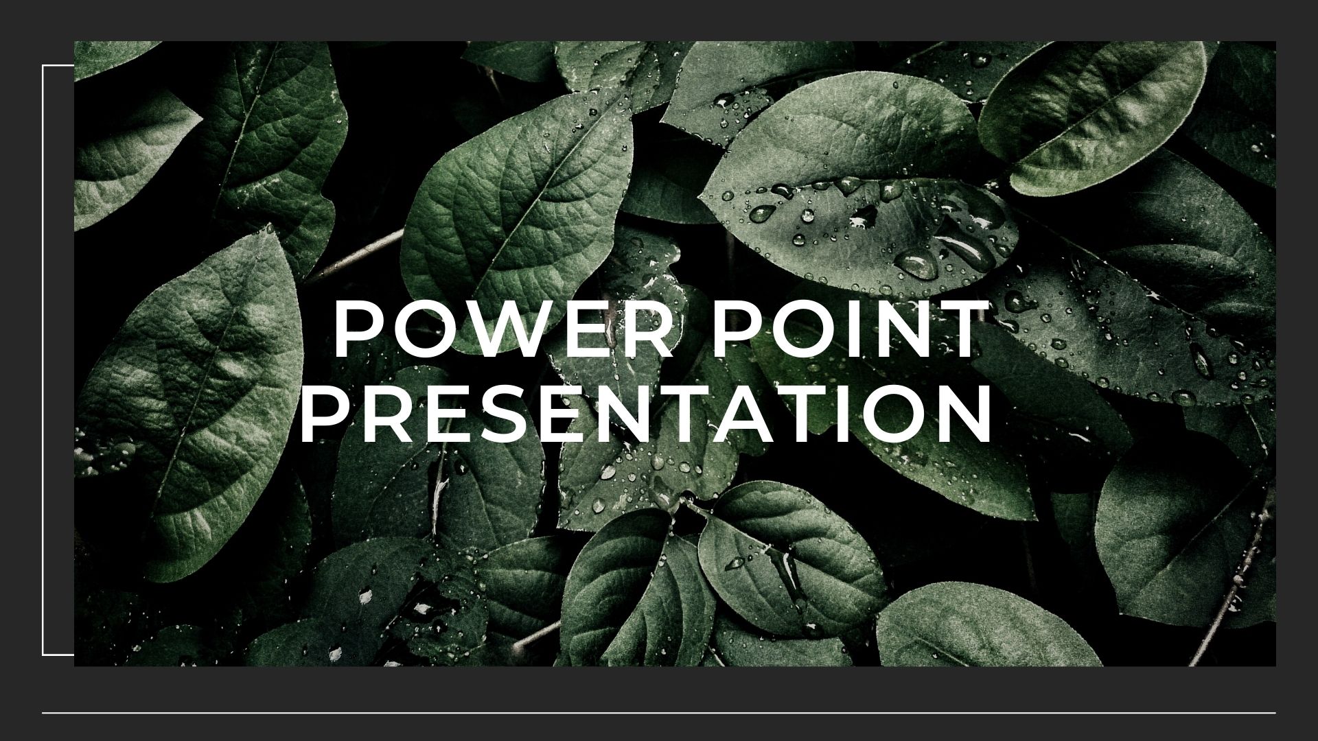 I Will Create High Quality Power Point Presentation For You.