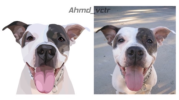 I will draw your pet into a vector art cartoon