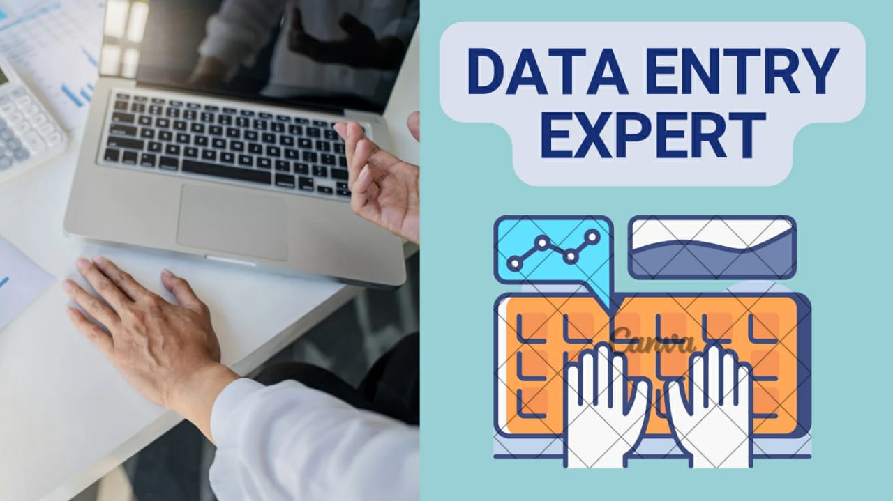 I am a Professional Data Entry