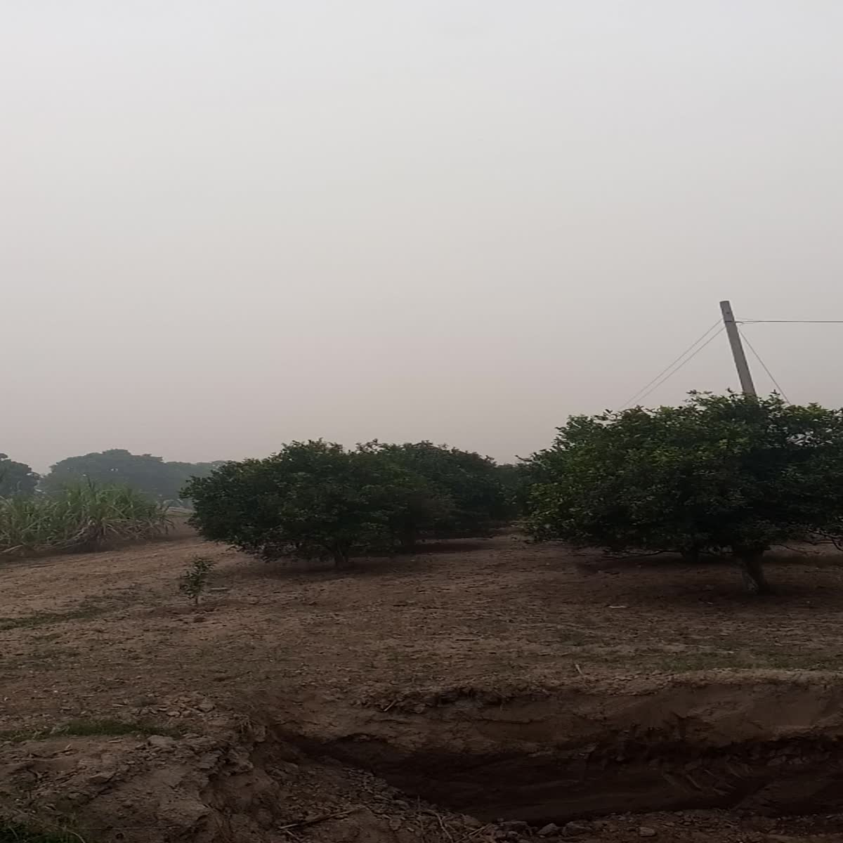 article writing content writing 1000unique word which lowest price 