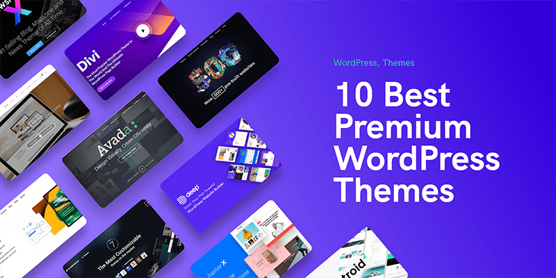 I will install and setup premium theme wordpres websi...