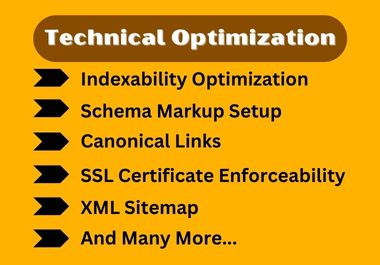 I will do On Page SEO and Resolve Technical Issues for WordPress Websites