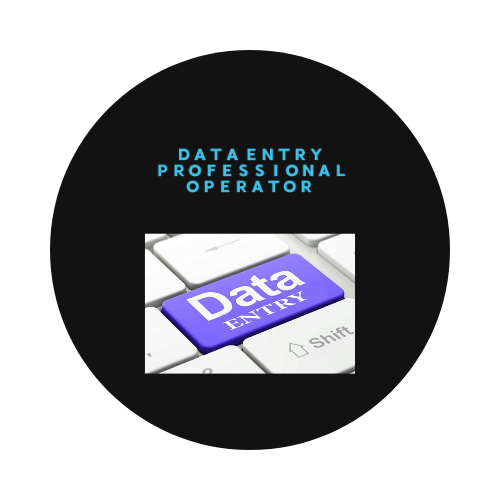 I am a Data entry professional operatior 