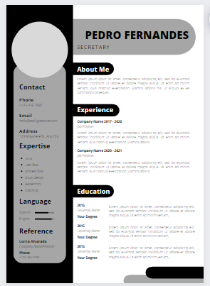 Best professional Eye Catching Resume/CV, Cover Lett...