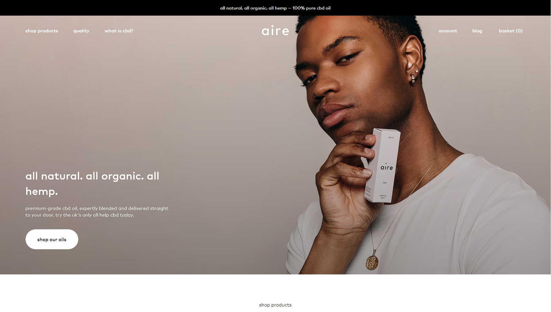 I will build a dropshipping shopify store or shopify website for passive income