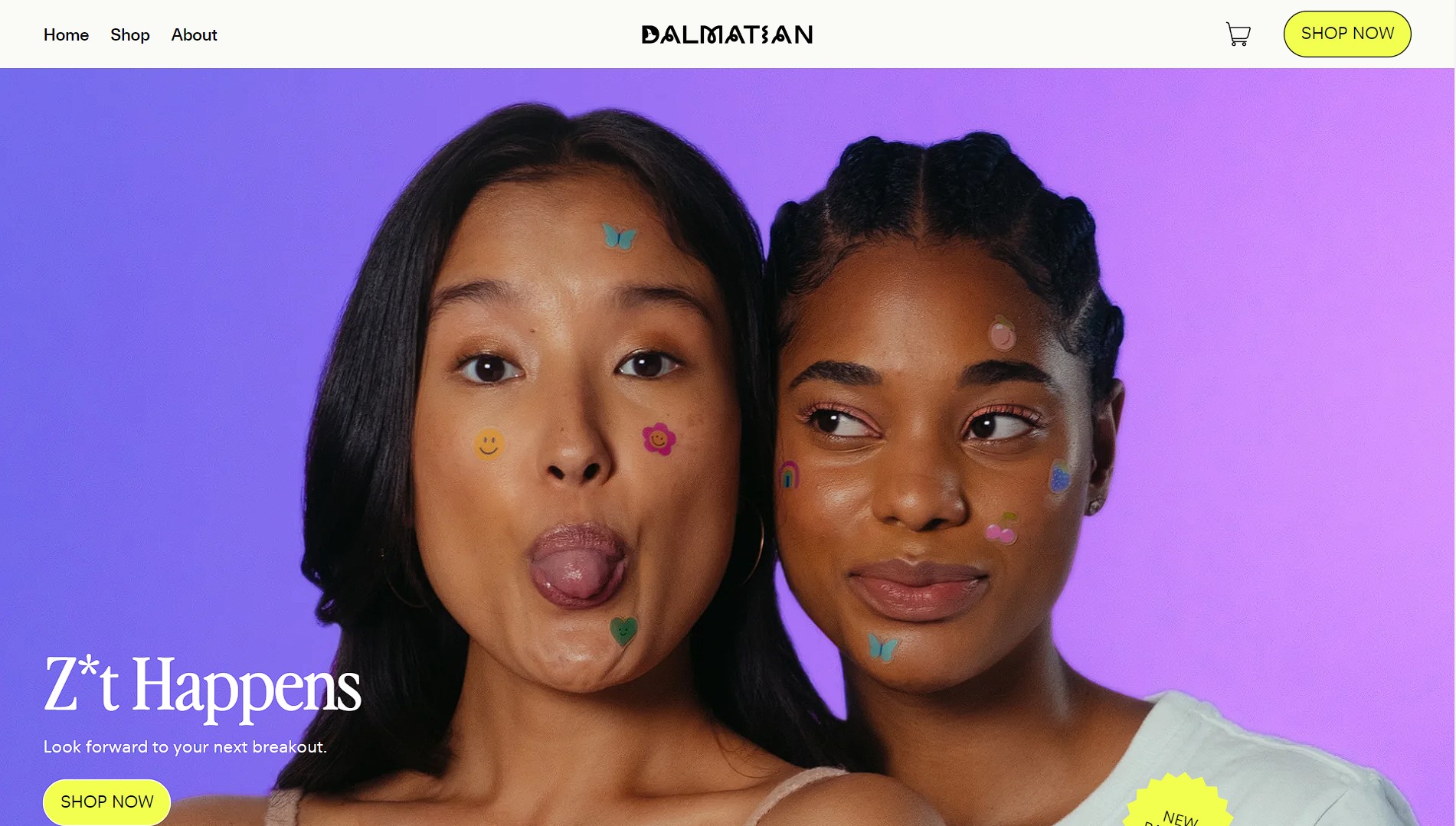 I will build a dropshipping shopify store or shopify website for passive income