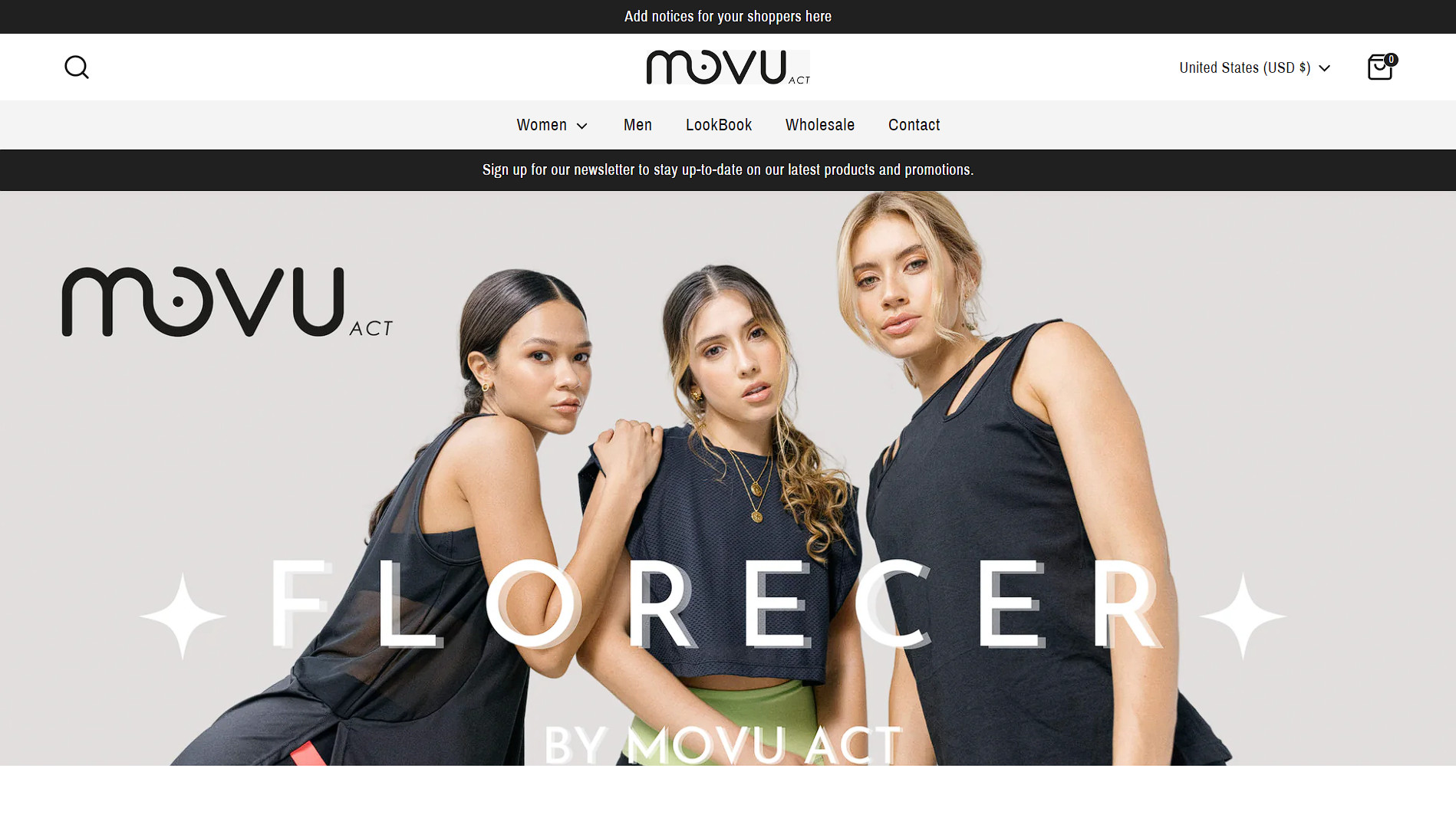 I will build a dropshipping shopify store or shopify website for passive income