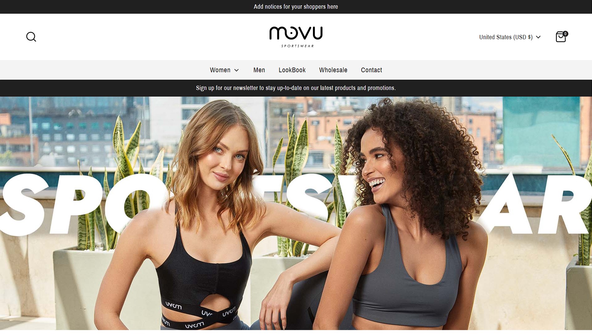 I will build a dropshipping shopify store or shopify website for passive income