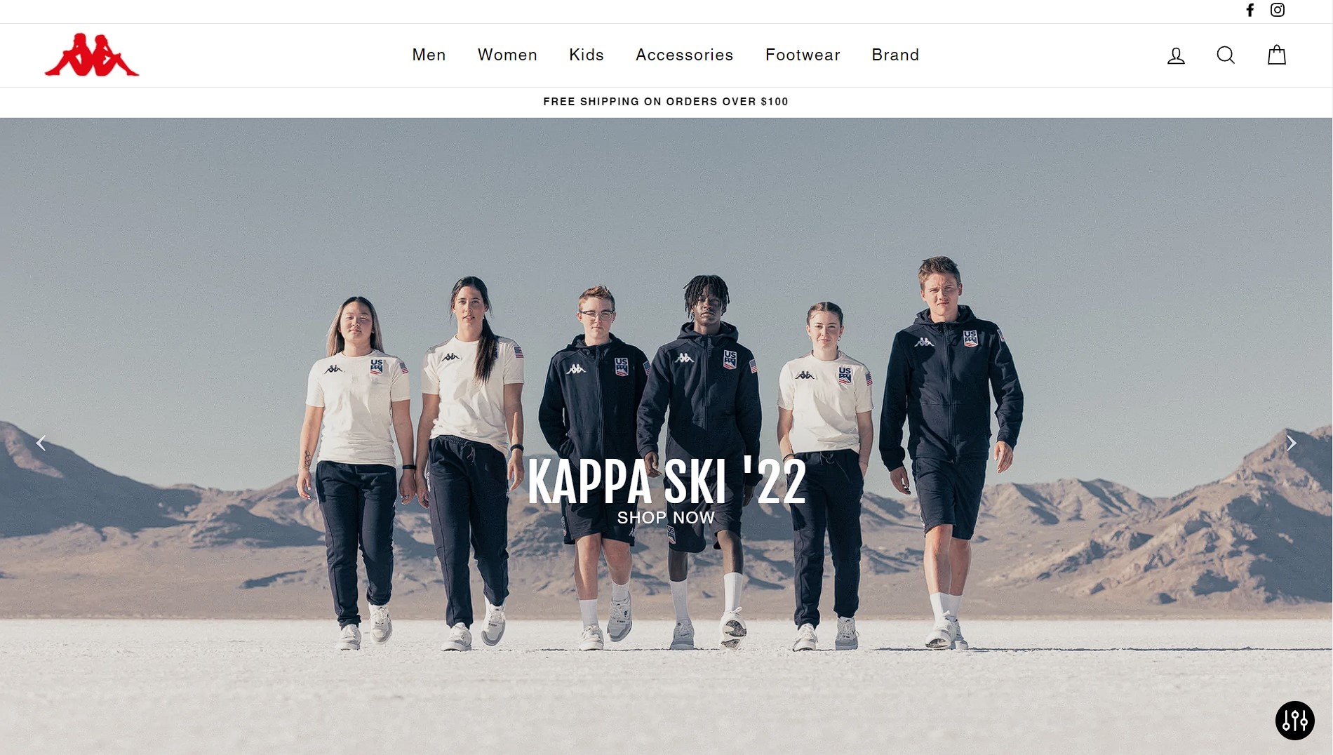 I will build a dropshipping shopify store or shopify website for passive income