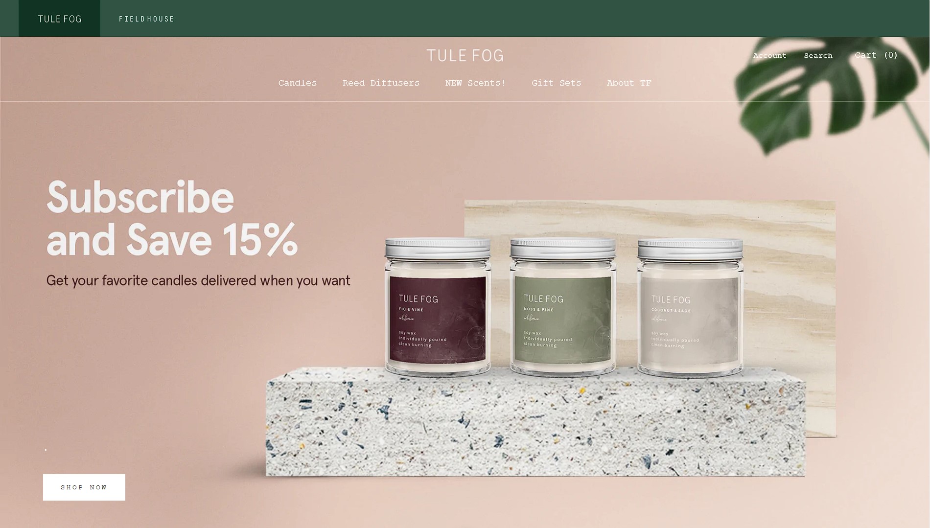 I will build a dropshipping shopify store or shopify website for passive income