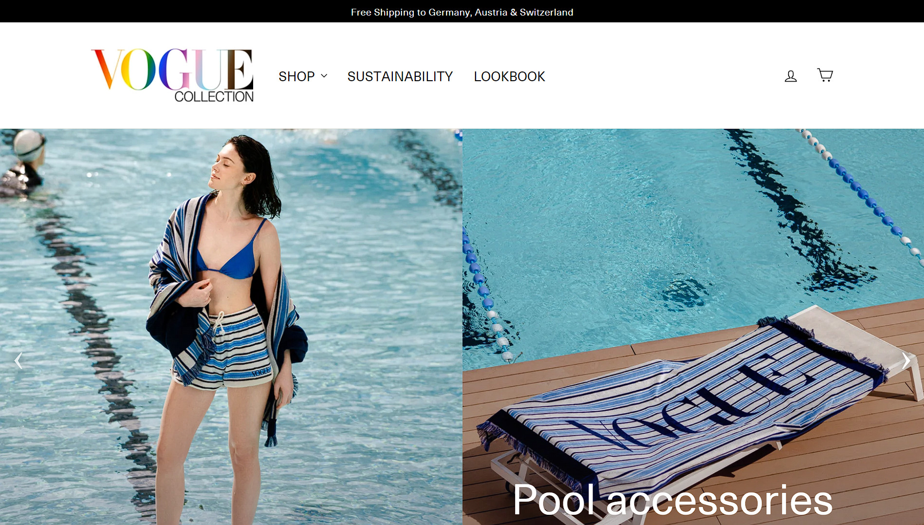 I will build a dropshipping shopify store or shopify website for passive income