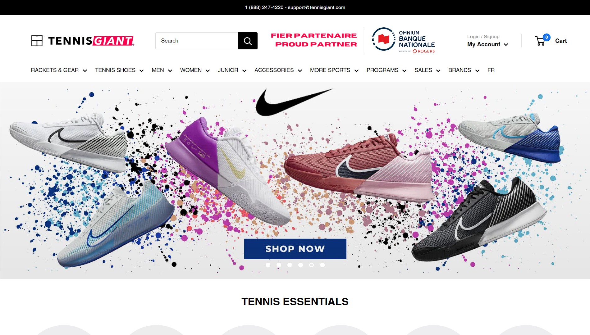 I will build a dropshipping shopify store or shopify website for passive income