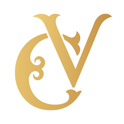 Professional CV Making (I will be your professional CV Maker) 