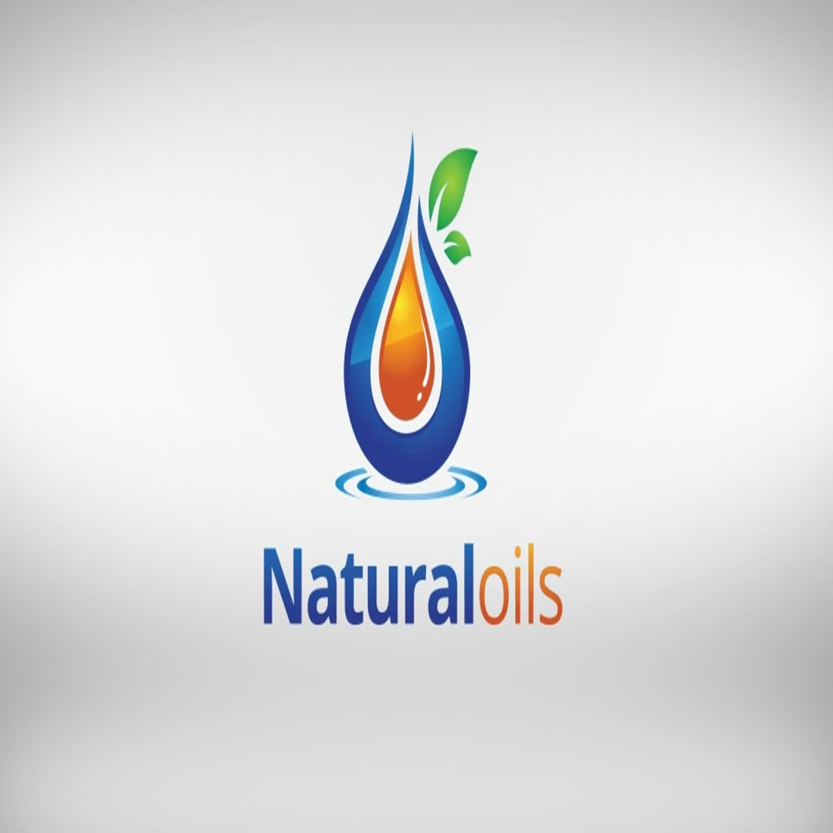 I will Create Logo animation or Youtube intro and out...