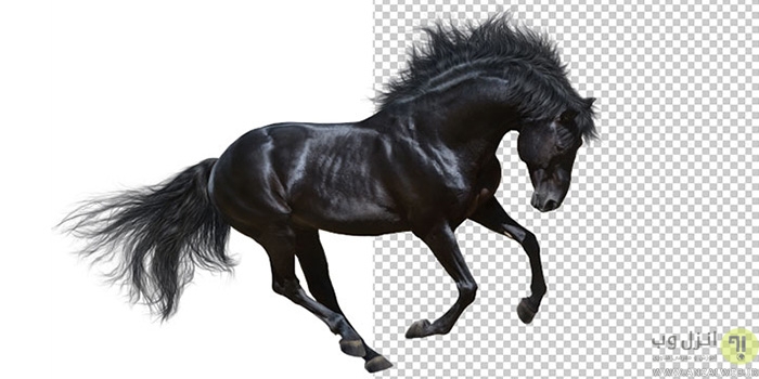 Remove thousands of backgrounds for you with the best quality