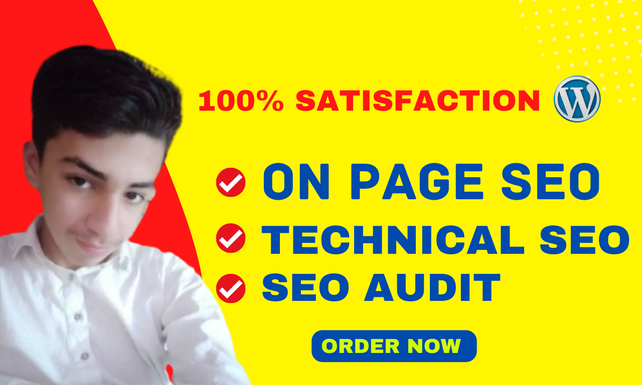 I will do indepth Onpage SEO and Technical SEO for your WordPress website 