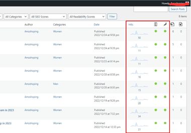 I will do On-Page SEO in manual and lead in the top rank google search