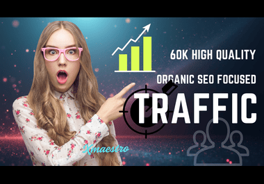 60000 High quality SEO focused organic booster website traffic