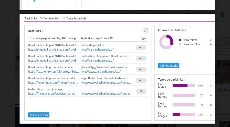 Advance SEO Expert to rank your Website
