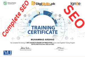 I will provide complete seo for website 