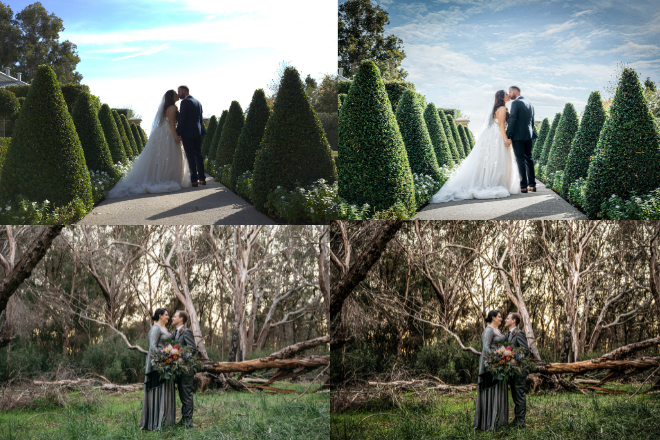 Lightroom Color Grading & Photo Color Correction