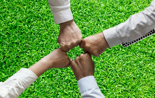 I will do background remove of 500 images 