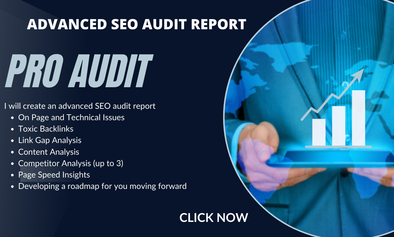 I will do Monthly Website Audit Report with ExcelSheet