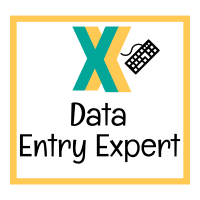 I will do very good data entry for you. Unleash efficiency and accuracy with professional data entry