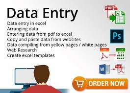 Data Entry Specialist: Accurate and Efficient Input of Critical Information"