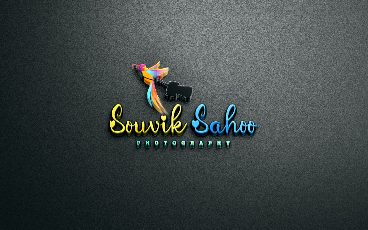 I will creative&nbsp;Professional 3D logo design