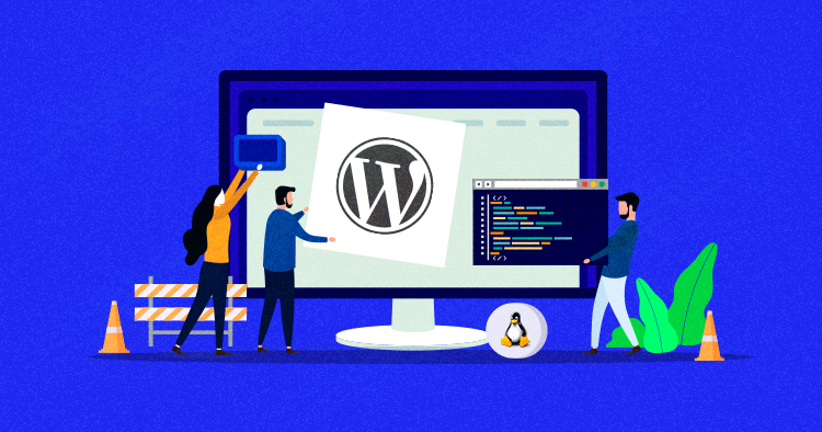 I install your WordPress , setup cPanel , install your theme