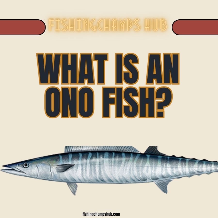 Professional YouTube Video Editing & SEO Services 