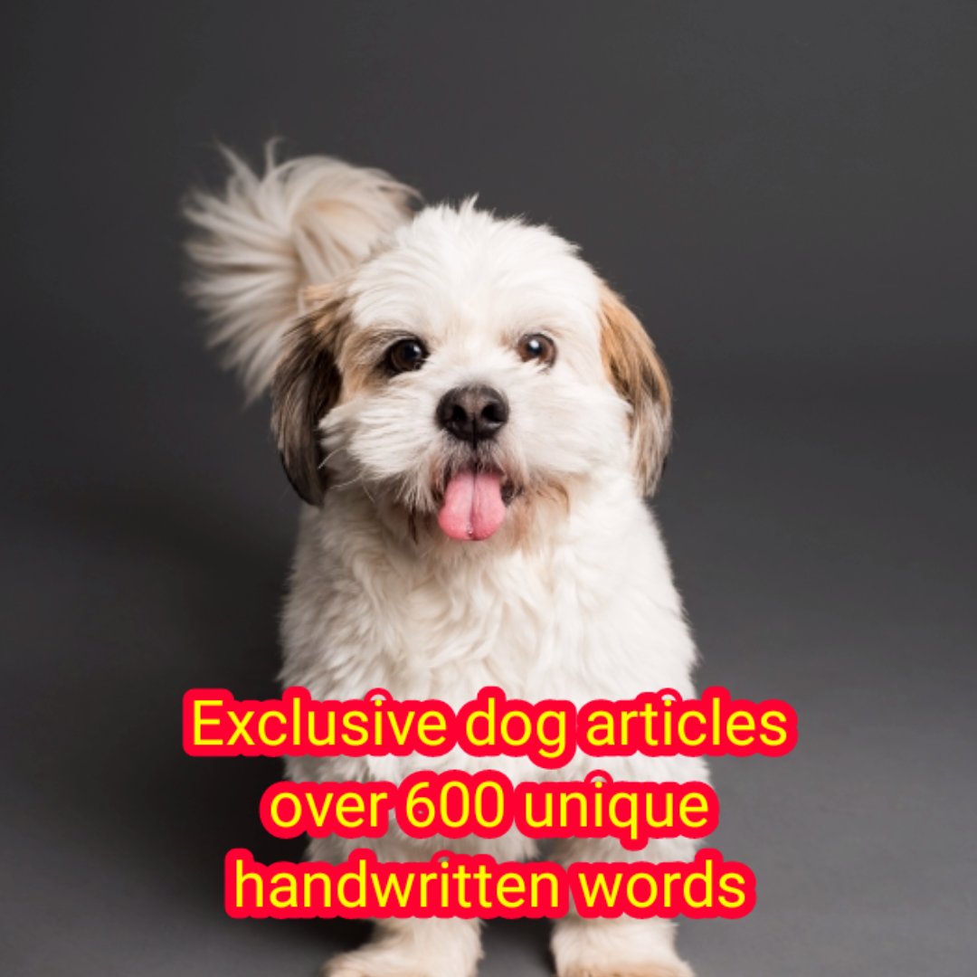 Exclusive dog articles over 600 unique handwritten words