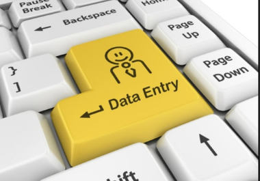 I will do fast and accurate data entry service 