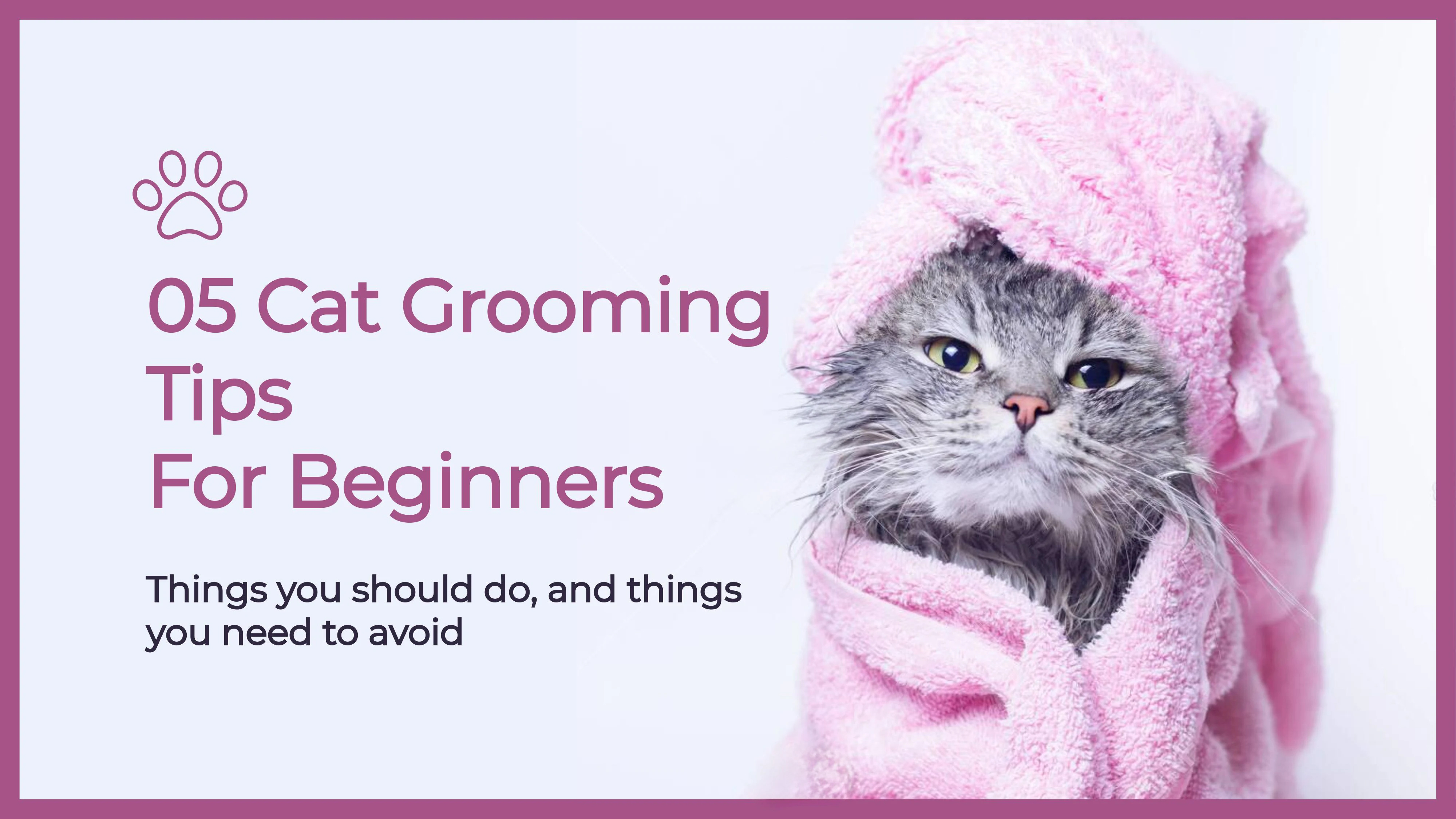 Logo Design, Branding, Graphic Design