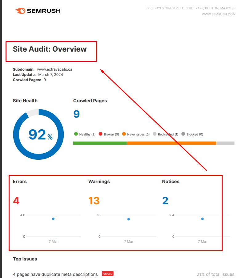 You will get website audit and competitor analysis by SEM rush tools