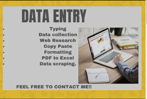 I will do data entry work, copy paste, logo design