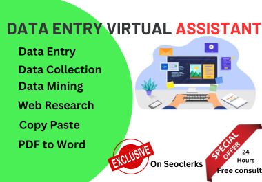 Data Dynamo Expert Virtual Assistant and Data Entry M...